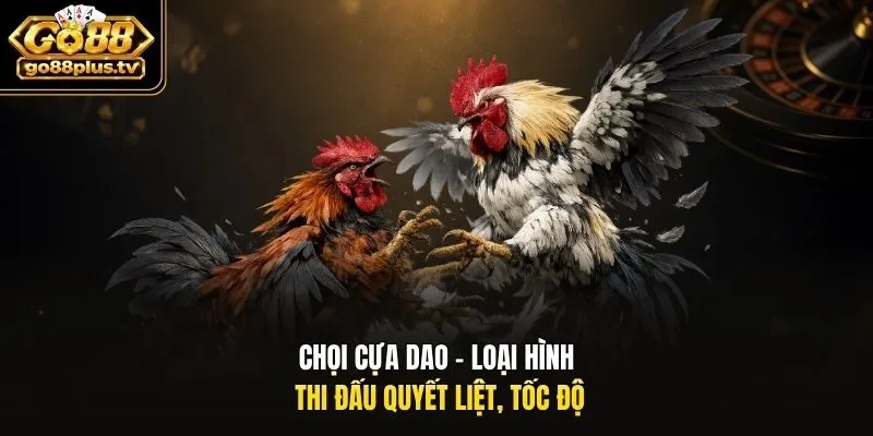Chọi cựa dao - Loại hình thi đấu quyết liệt, tốc độ
