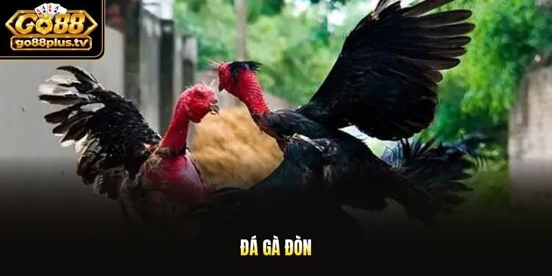 Đá gà đòn