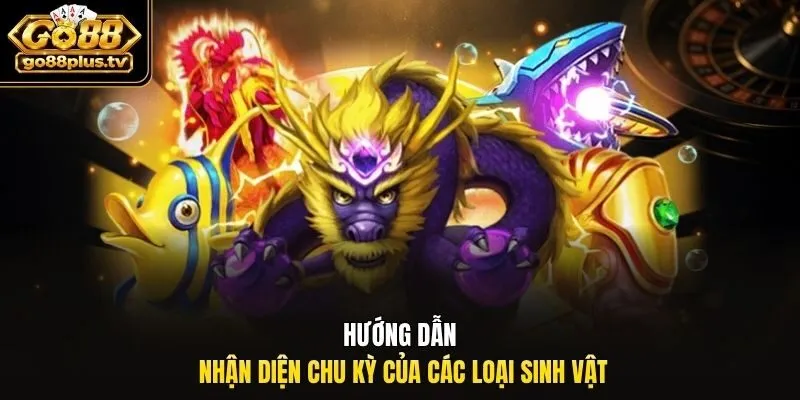 Hướng dẫn nhận diện chu kỳ của các loại sinh vật
