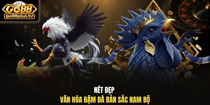 Đá gà miền tây - Nét đẹp văn hóa đậm đà bản sắc Nam Bộ