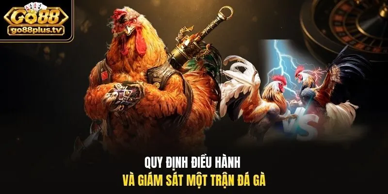 Quy định điều hành và giám sát một trận đá gà